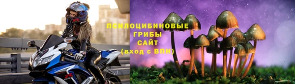 стаф Нефтегорск