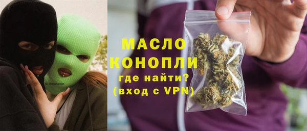 шишки Новодвинск