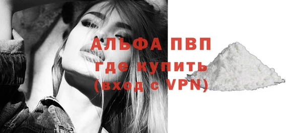стаф Нефтегорск