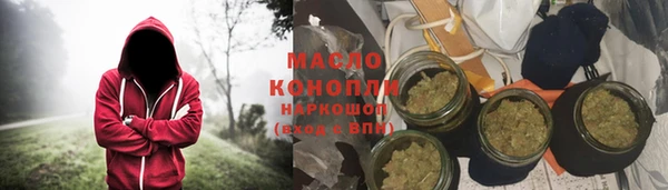 шишки Новодвинск