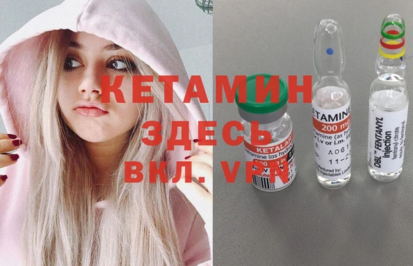 шишки Новодвинск
