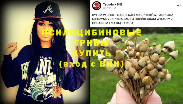 стаф Нефтегорск