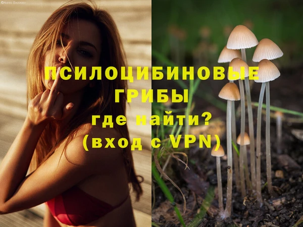 дмт Новокубанск