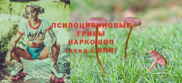 spice Заречный
