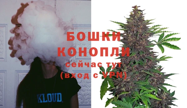 стаф Нефтегорск